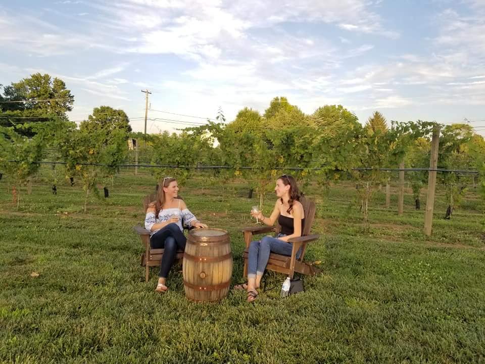 adirondack and people with wine in vineyard